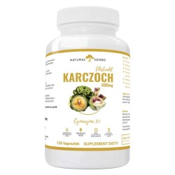 Karczoch ekstrakt 600 mg - Wspomaga układ pokarmowy i wątrobę Alto Pharma - 120 kapsułek