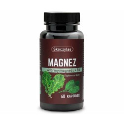 Magnez 4 formy + Witamina B6 Szpinak, Jarmuż Skoczylas - 60 kapsułek