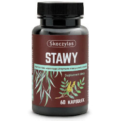 Stawy Skoczylas - Wierzba biała wspomaga utrzymanie elastyczności stawów - 60 kapsułek
