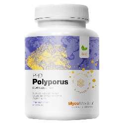 MycoMedica Polyporus PRO 30 % - Żagiew wielogłowa - 90 kapsułek