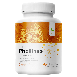 MycoMedica Phellinus linteus PRO 32 % - Mesima (czarny grzyb kopytny) - 90 kapsułek