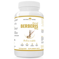 Berberis Ekstrakt 400mg Alto Pharma - 120 kapsułek - Panda