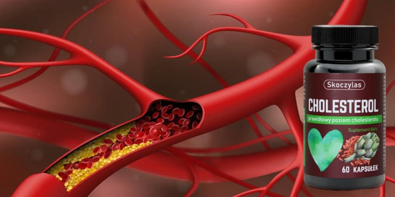 cholesterol Skoczylas