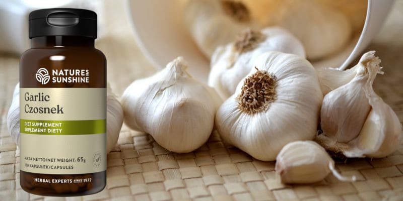czosnek