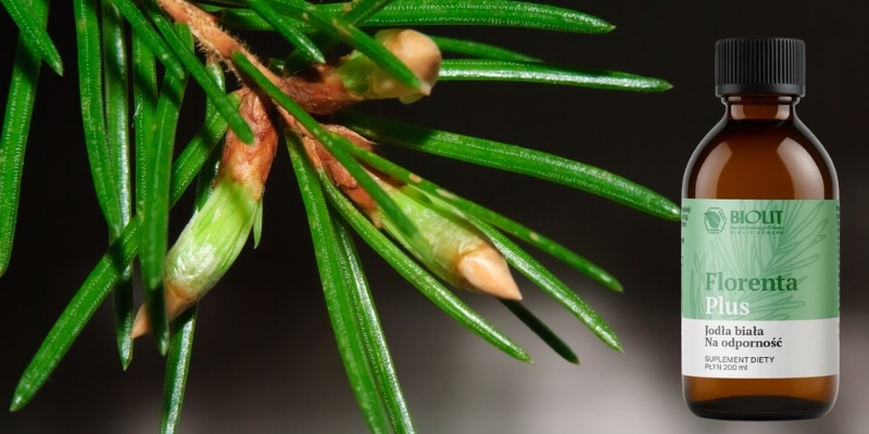 Florenta plus