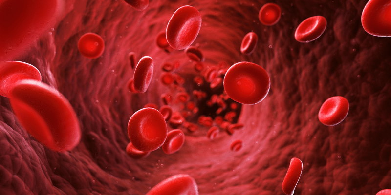 Homocystein intercell 