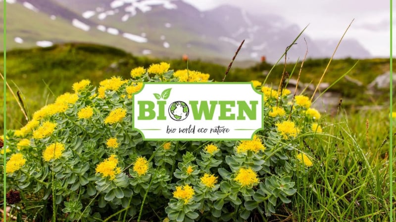 Rhodiola Rosea Biowen