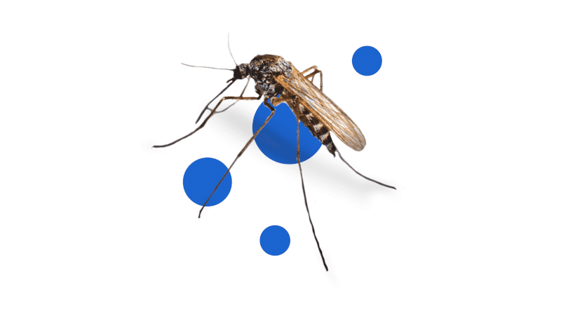 Bros Spray na komary max 