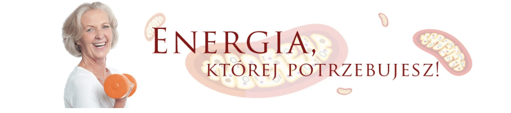 Zrzut ekranu 2026 02 04 121448