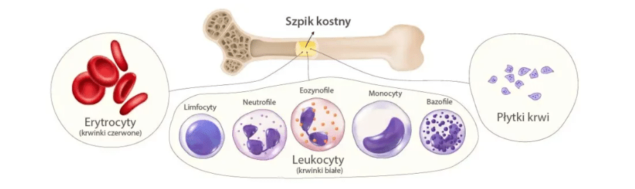 Zrzut ekranu 2026 03 02 123924