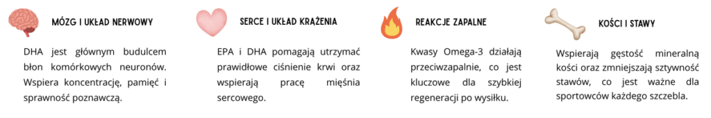 Europejski Urząd ds. Bezpieczeństwa Żywności (EFSA) potwierdził, że EPA i DHA przyczyniają się do prawidłowej pracy serca, a samo DHA wspiera utrzymanie prawidłowego funkcjonowania mózgu i prawidłowego widzenia.